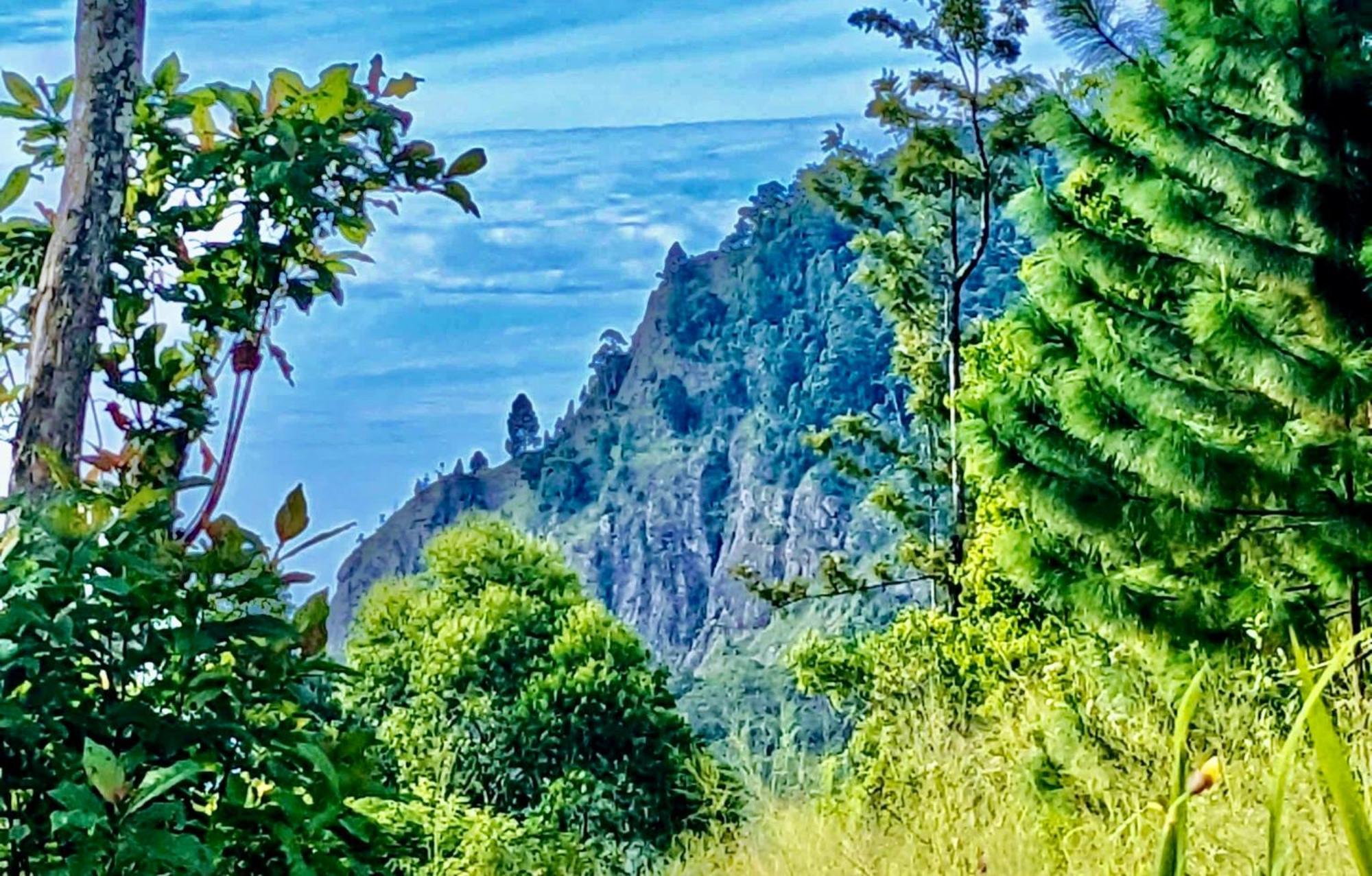 Mountain Peak Ella Bed & Breakfast Bagian luar foto